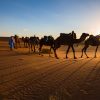 camel-ride