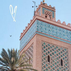 Highlights of Marrakech in half day