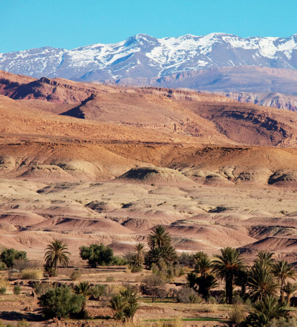 ourika-copie
