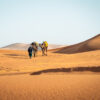 Portrait picture of berber walking with camels in Merzouga Sahara Morocco