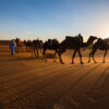 sunset-camel-ride sunset-camel-ride